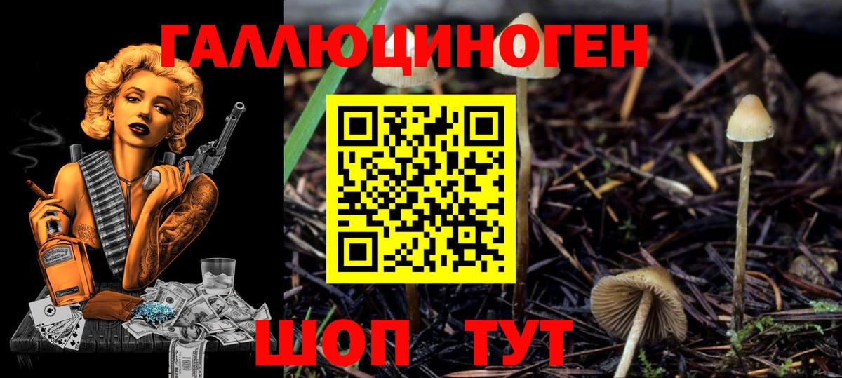 Псилоцибиновые грибы ЛСД Сорочинск